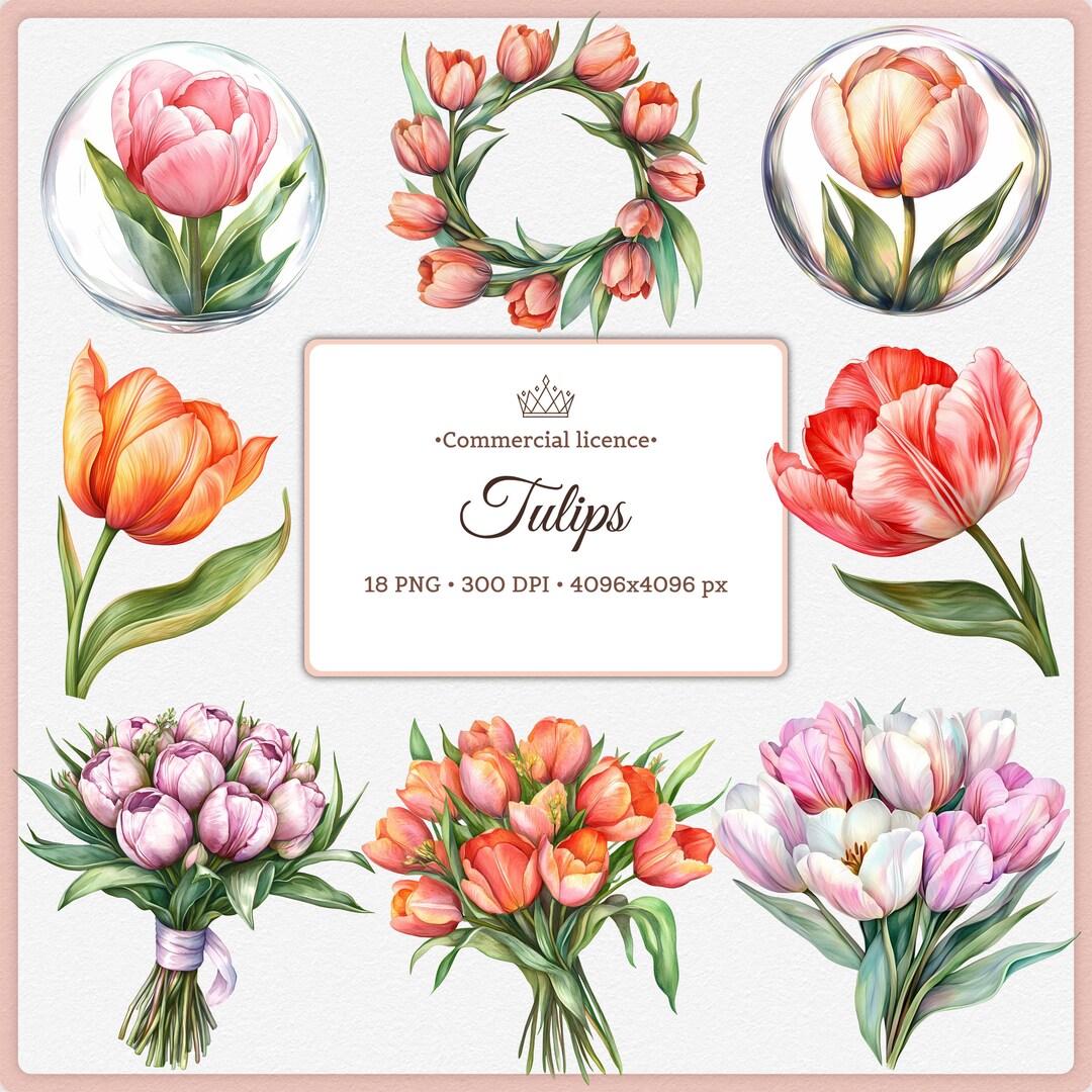 Watercolor Tulip Clipart Bundle: Botanical Flower PNG Images (digital ...