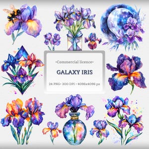 May include: Watercolor illustrations of Galaxy Iris flowers in shades of purple, blue, and orange. The image includes a variety of iris arrangements, a bee, and a full moon. The text "GALAXY IRIS" is displayed on a white background.