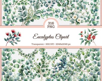 May include: A digital collection of 316 PNG eucalyptus clipart files featuring watercolor-style green leaves, branches, and small red or white flowers. The text reads Eucalyptus Clipart, Transparent, 300 DPI, and 2048x2048 px on a white background.