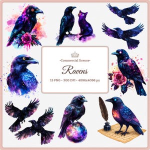 Pu&ograve; includere: Una collezione digitale di illustrazioni di corvi in stile acquerello con motivi galattici in tonalit&agrave; viola, blu e rosa. Il set include varie pose di corvi, un gatto, rose, una sfera di cristallo e un calamaio con penna su pergamena.