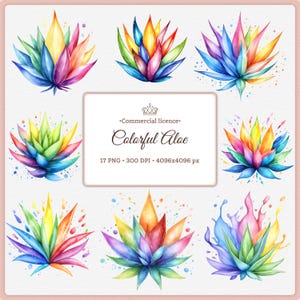 Rainbow Aloe - Etsy