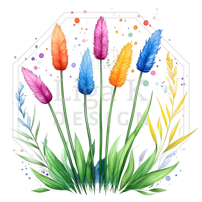 Watercolor Rainbow Reeds Clipart Bundle, Grass and Wildflowers, 20 PNG ...