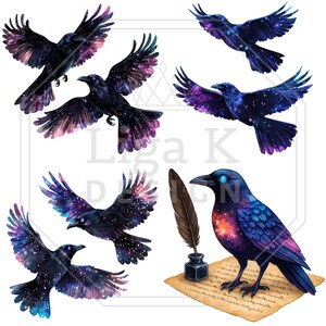 Pu&ograve; includere: Una collezione di illustrazioni digitali raffiguranti sei corvi con piume a motivo galattico in tonalit&agrave; blu profondo, viola e rosa. Un corvo si trova su una pergamena accanto a un calamaio con una penna. Il testo Liga K Design &egrave; visibile.