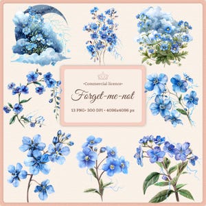 Forget-Me-Not Clipart Bundle PNG Blue Wildflowers Watercolor Floral Clip Art Celestial Botanical PNG spring flowers clipart delicate vintage