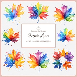 Puede incluir: Ilustración en acuarela de hojas de arce coloridas en varias composiciones. Cada hoja muestra un vibrante espectro de colores, incluyendo rojo, naranja, amarillo, verde, azul y morado. El texto "Maple Leaves" y "Commercial licence" está incluido.