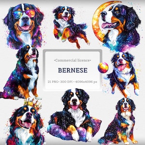 Galaxy Bernese Mountain Dog Clipart Watercolor PNG Bundle Pet Puppy Art Dog Clipart Sublimation Space Dogs Graphics Dog Lover Bernese Art