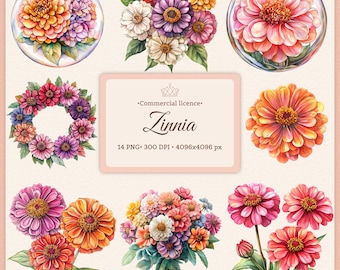 Zinnia Flower Clipart Bundle: Rustic Watercolor Wildflowers (PNG Digital Download)
