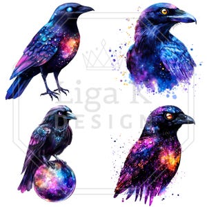 Pu&ograve; includere: Quattro illustrazioni di corvi con motivi ispirati alle galassie, caratterizzati da blu profondi, viola e colori vibranti da nebulosa. Un corvo &egrave; in piedi, uno &egrave; un ritratto, uno &egrave; appollaiato su una sfera luminosa e uno &egrave; di profilo.