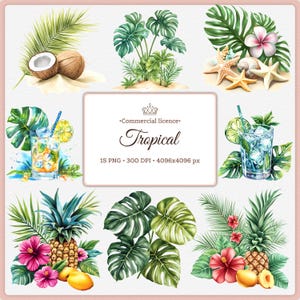 May include: Watercolor illustrations of tropical elements, including coconuts, monstera leaves, cocktails, pineapples, hibiscus flowers, and starfish. The image includes the text "Commercial licence" and the word "Tropical".