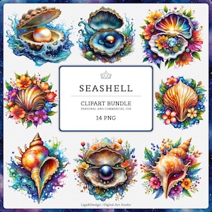 Seashell Clipart PNG, Coastal Shell Pearl Clipart, Beach Ocean Clipart, Tropical Floral Shell, Summer Vacation Sublimation Nautical Design