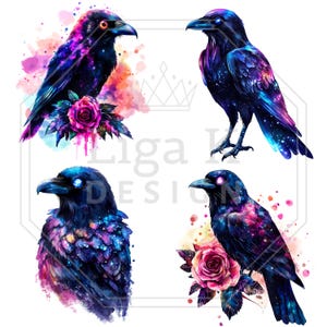 Pu&ograve; includere: Quattro illustrazioni di corvi con piumaggio ispirato alla galassia in tonalit&agrave; blu profondo, viola e rosa. Due corvi sono appollaiati su vivaci rose rosa, mentre gli altri mostrano motivi cosmici. Il testo Liga K Design &egrave; visibile.