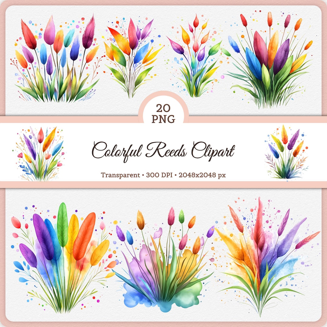 Watercolor Rainbow Reeds Clipart Bundle, Grass and Wildflowers, 20 PNG ...