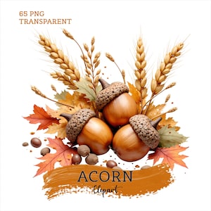 May include: A digital illustration of three brown acorns with textured caps, surrounded by golden wheat stalks and orange autumn leaves. The text 65 PNG TRANSPARENT is at the top left, and the text ACORN Clipart is centred on a brushstroke.