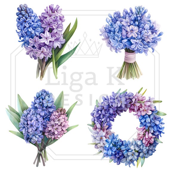 水彩ヒヤシンスのクリップアートバンドル：春の花のPNG画像（デジタル