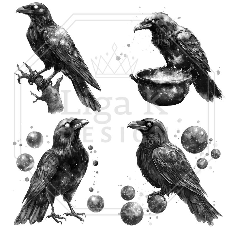 May include: Four black and white illustrations of ravens. One raven is perched on a branch, another stands near a cauldron, and two others are surrounded by orbs. The ravens have a starry design.