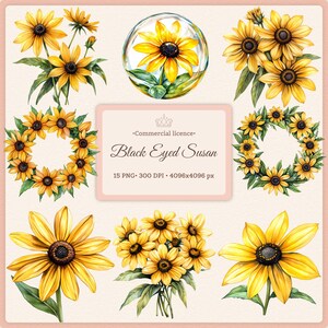 Black Eyed Susan Clipart Yellow Wildflower PNG Bundle Cottagecore Floral Illustration Summer Garden Botanical Clip Art Rustic Flower PNG Set
