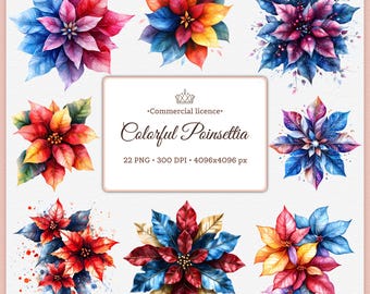 Rainbow Poinsettia Clipart Bundle, Colorful Christmas Flower PNG, Watercolor Holiday Floral, Festive Botanical Clip Art