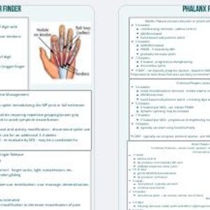 May include: Two medical illustrations showing the anatomy of the hand. The first image shows the tendons and muscles of the hand, with labels for the trigger finger, flexor tendons, and extensor tendons. The second image shows the bones of the hand, with labels for the proximal, middle, and distal phalanges.