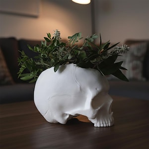 Pot de Fleur et Crâne avec Crête – Porte-Bijoux Unique, Rangement Stylé pour Petits Objets, Déco Intérieure Tendance, Pot Crâne 3D