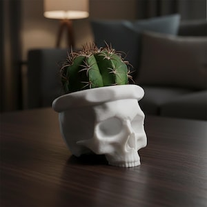 Mini Jarrón Calavera Maceta para Suculentas Cactus Pequeños Jarrón Gótico Decoración del Hogar Regalo Rock Decoración Gótica Maceta Pequeña