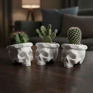 Puede incluir: Tres macetas blancas con forma de calavera, cada una con un tipo diferente de cactus. Los cactus son de varios tonos de verde, con espinas visibles. Las macetas están sobre una superficie de madera oscura, con un fondo borroso de sala de estar.