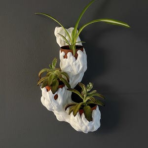 Vaso da vivaio a forma di ramo d'albero, vaso per piante grasse, decorazione per giardinaggio da interni, piccolo vaso, portavaso da vivaio, decorazione per la casa, gancio per fioriere da parete