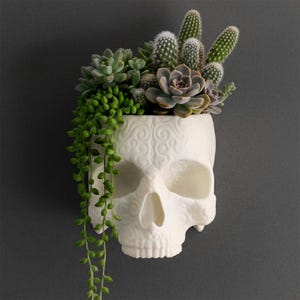 Relic - Jarrón Calavera para pared