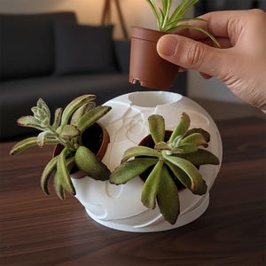 ロータスナーサリーポットプラントスタンド多肉植物用花瓶装飾室内園芸小型ホルダーホームデコレーション卓上プランターサボテンディスプレイ