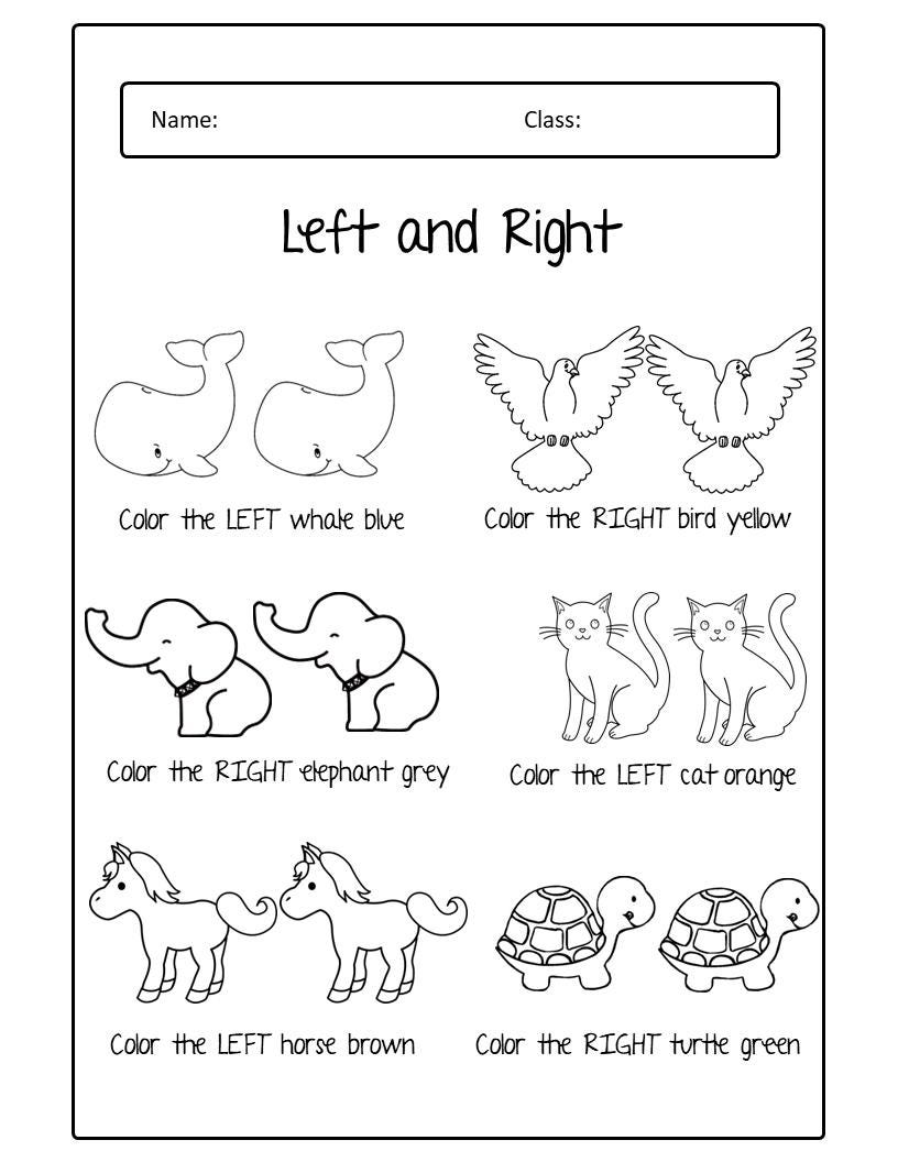 Left and Right Color the Correct Position Worksheets for Kindergarten ...