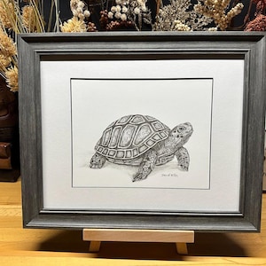 May include: A black and white pencil drawing of a turtle in a grey frame. The turtle is facing right and has a detailed shell.