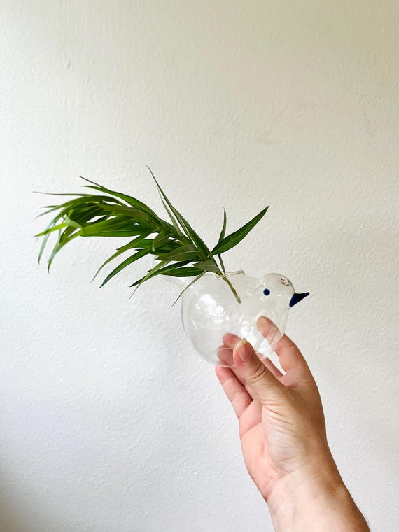 hand blown glass vase / bird propagation vase / blue bird glass vessel