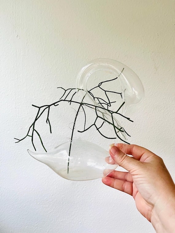 hand blown glass vase / bird propagation vase / swan glass vessel
