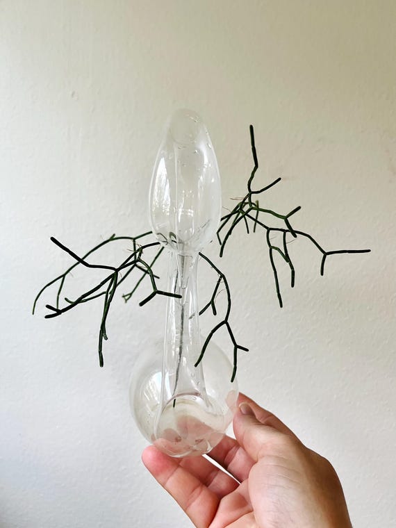 hand blown glass vase / bird propagation vase / large swan glass vessel