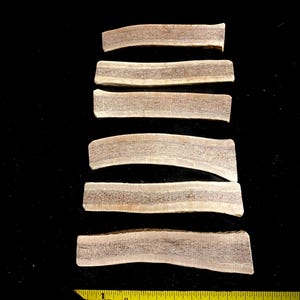 Value Pack of 6 Split Elk Antler Dog Chews (~5Inches Long) All Edges Are Sanded for a Safe Chewing Experience!