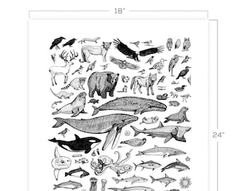 Species Downloadable Print 18" x 24"