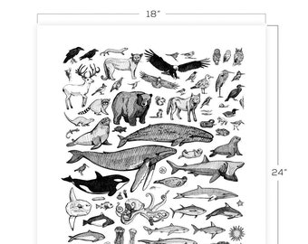 Species Downloadable Print 18" x 24"