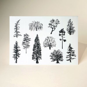 Tree Species of Vancouver Island Greeting Card