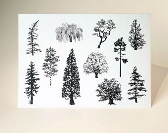 Tree Species of Vancouver Island Greeting Card