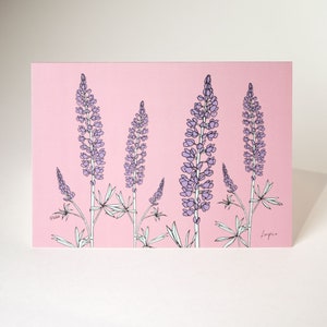 Lupins Carte de vœux