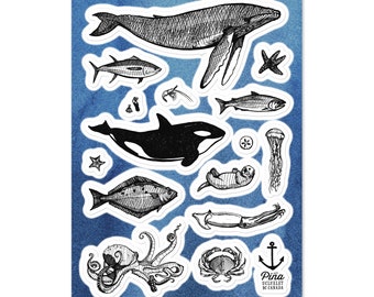 Species of Ucluelet Ocean Animals Sticker sheet