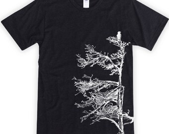 Spruce Tree with Bird