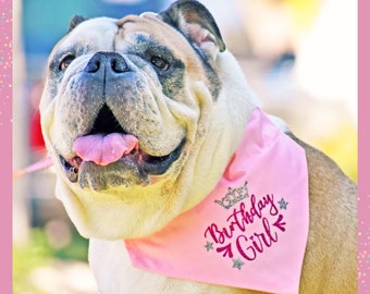 Glittery Pink Dog Bandana Birthday Girl Scarf - Birthday Gift for Dogs