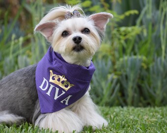 diva dog harness