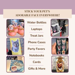 A playful graphic titled “Stick Your Pet’s Adorable Face Everywhere!” showing custom pet face stickers used on cupcakes, phone cases, laptops, treat jars, and as thank‑you tags. A list suggests using stickers on water bottles, laptops, jars, phone cases, party favors, notebooks, cards, gifts, and more. Ideal for custom pet photo stickers and personalized pet decals.