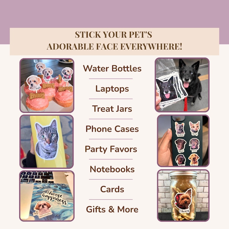 A playful graphic titled “Stick Your Pet’s Adorable Face Everywhere!” showing custom pet face stickers used on cupcakes, phone cases, laptops, treat jars, and as thank‑you tags. A list suggests using stickers on water bottles, laptops, jars, phone cases, party favors, notebooks, cards, gifts, and more. Ideal for custom pet photo stickers and personalized pet decals.