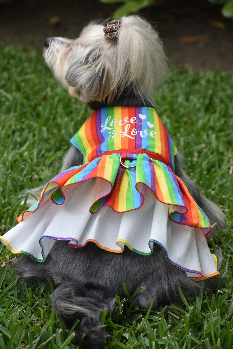 Dog Dress Pride Dog Harness Pride Rainbow Dog Dress Dog Etsy Hong Kong