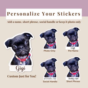 Personalization options for custom dog photo stickers showing a small black dog in multiple sticker styles, including name, short phrase, social handle, and photo‑only designs. Demonstrates mix‑and‑match text customization for pet decals.