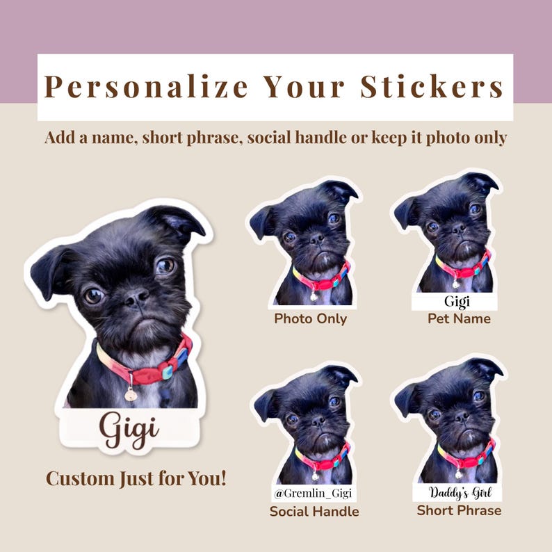 Personalization options for custom dog photo stickers showing a small black dog in multiple sticker styles, including name, short phrase, social handle, and photo‑only designs. Demonstrates mix‑and‑match text customization for pet decals.