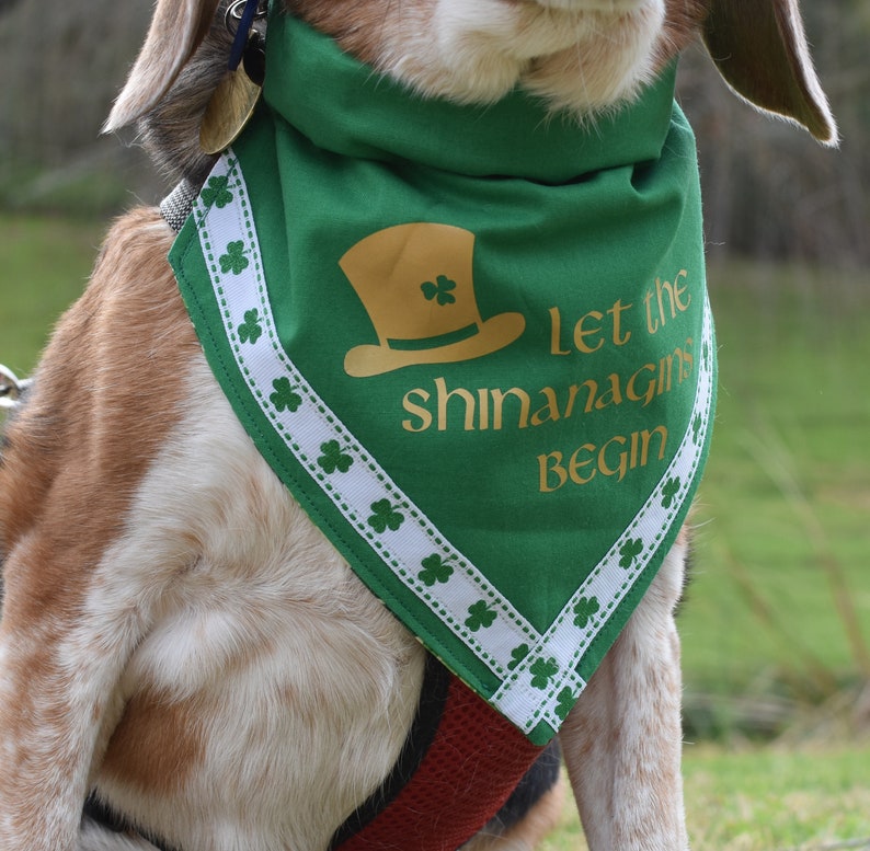 saint patricks day dog bandana