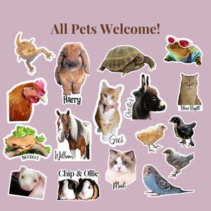 A playful “All Pets Welcome!” collage featuring a variety of animals—cats, dogs, rabbits, reptiles, birds, and small pets—each labeled with their names. The graphic highlights that custom pet photo stickers can be made for any species, not just cats and dogs. Ideal for showcasing inclusivity in personalized pet stickers and multi‑pet orders.